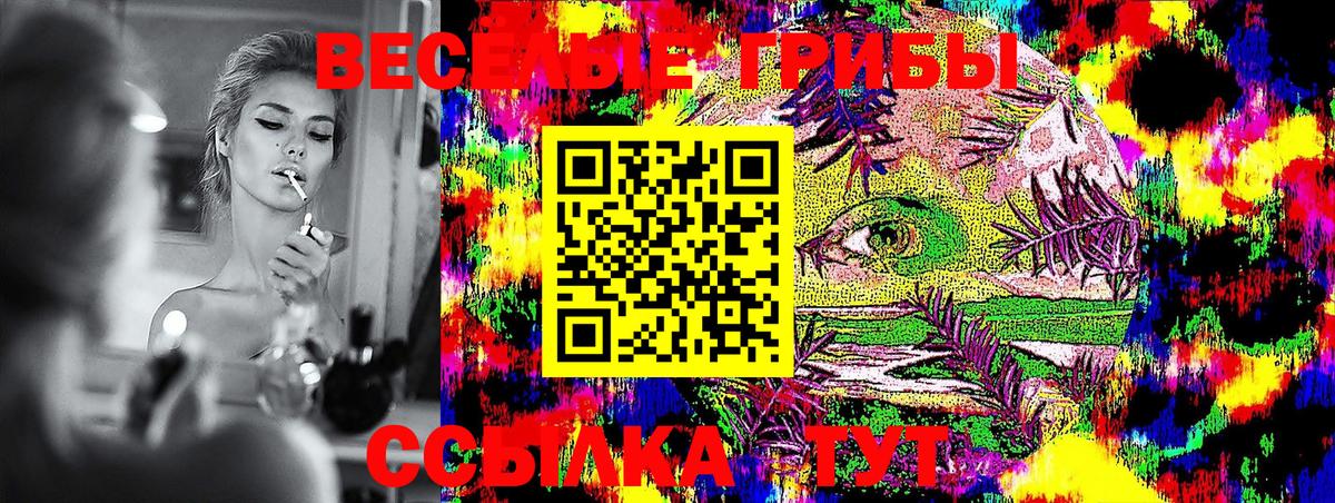 Галлюциногенные грибы Psilocybe  Вход с VPN  Майский  Галлюциногенные грибы MAGIC MUSHROOMS 